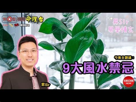 家居水種植物|【水種】水種新手入門！15款室內植物精選，輕鬆提升居家綠意